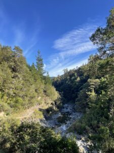 Nelson Hiking：Rocks Hut編　其の壱