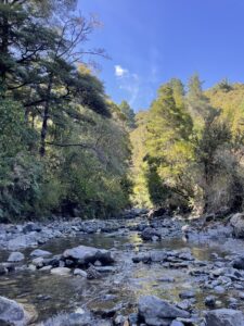 Nelson Hiking：Rocks Hut編　其の弍