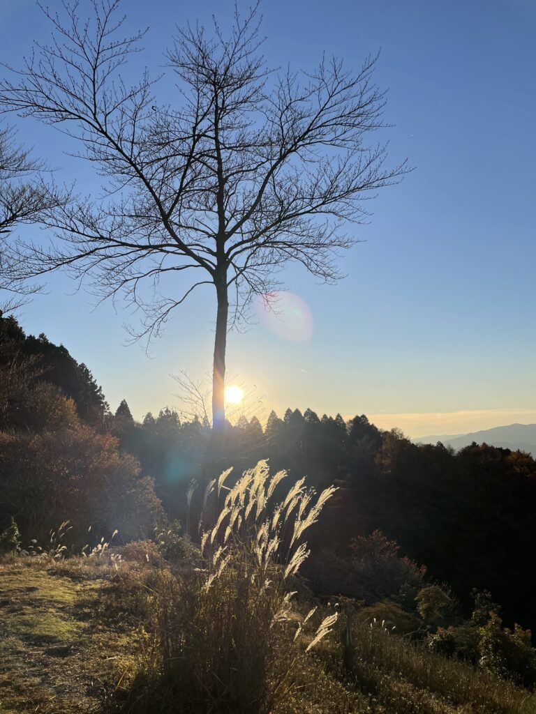 NZから日本に帰ってきて両親と暮らしてみて