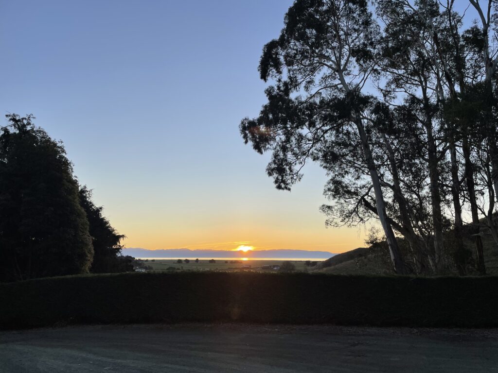 帰国後の1年を振り返って