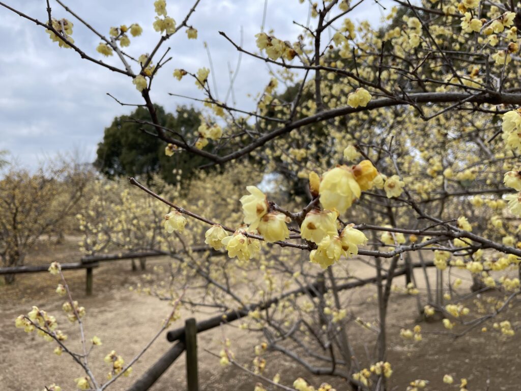 タイミーデビュー！！