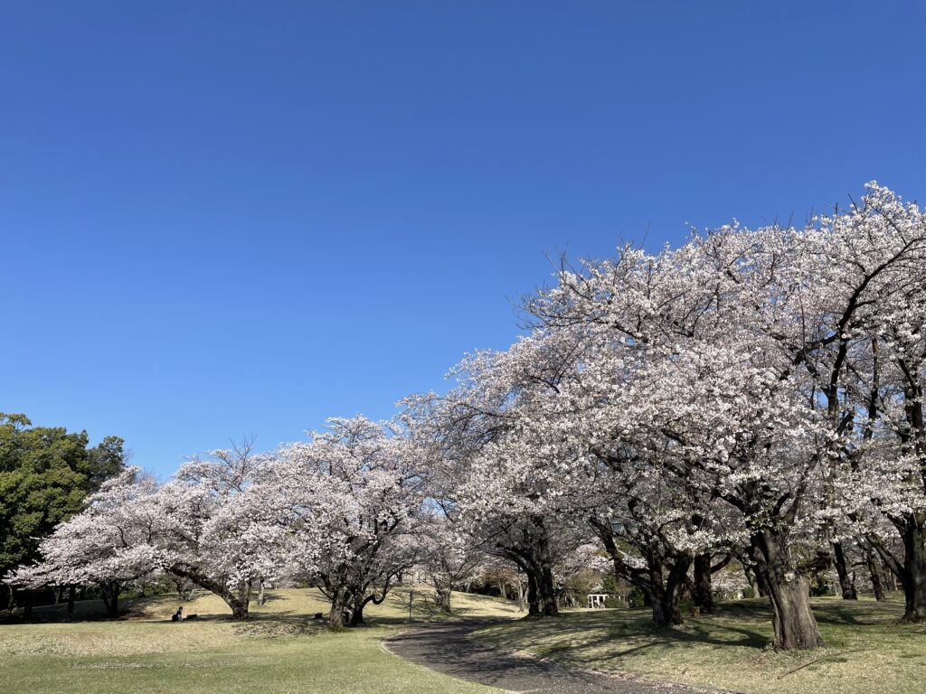 IELTSの結果は…!?